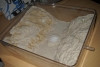 Pareados hormiguiles4