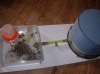 Recipiente de CD4