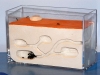 Hormi