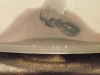 Camponotus barbaricus en yeso