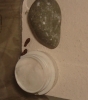 pupas