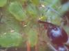 DSCF1105