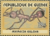 Republica Guinea 2002. Mirmecia gulosa