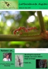 Portada 3