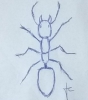 Dibujo hormiga