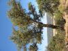 IMG 2219 1024x768