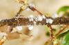 DSC0099 1024x685