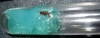 myrmica en gel