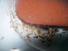 Acrilico_doble_seta_7