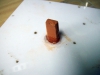 DetalleSeta_3