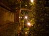 DSCN1047