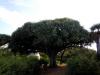 thumb IMG 1010 1024
