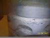 solenopsis3