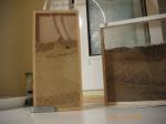hormiguero de lasius