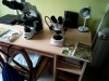 Microscopios y libros