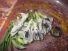 tapispulgones1