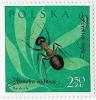 Sello de Formica rufa de Polonia (Serie de 12 sellos de insectos)