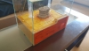 Construcci�n Hormiguero 0014