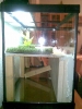 Mi jardin privado