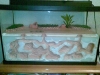 Mi jardin privado