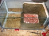 acuario con cemento 2