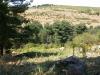turbera de montaña, La Cañada (Ávila)