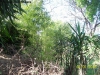 Eco_ca�as huecas