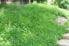 Ecosistema_Via_1