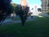 Forrajeo01