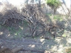 Tornado 5