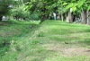 Habitat argentinas