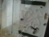 Minicolonia