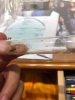 mini colonia pheidole