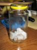 Lasius en un bote de potito