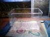 Prototipo