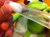 Camponotus Barbaricus 13 Agost 2012