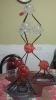 Exploratoriop de hormigas