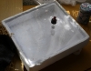 caja de forrajeo cruentatus