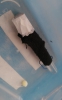 Zona de intento de adopci�n