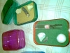 minicolonias o reinas2