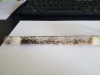 Messor barbarus+tubo ensayo2