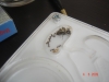messor barbarus y sus nurses