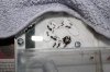 mini colonia m.barbarus