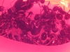 mis ni�as