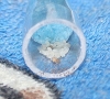 Larvas01