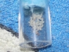Larvas03
