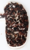 Crematogaster Scutellaris
