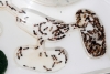 Crematogaster