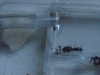 mudanza 2