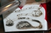 Galerias de Lasius repletas
